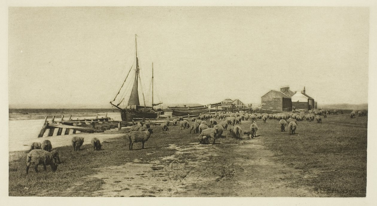 Blackshore, River Blythe (Suffolk) by Peter Henry Emerson