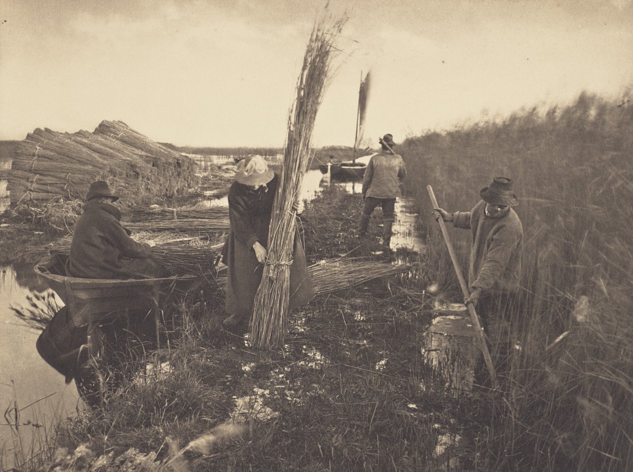 During the Reed-Harvest by Peter Henry Emerson