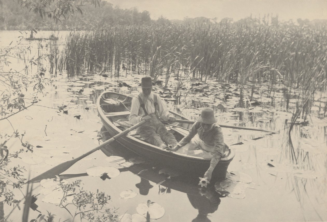 Gathering Water-Lilies by Peter Henry Emerson