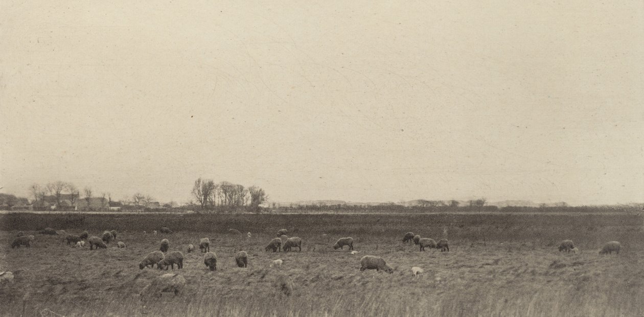 Marshes by the North Sea, 1890-1891, printed 1893 by Peter Henry Emerson