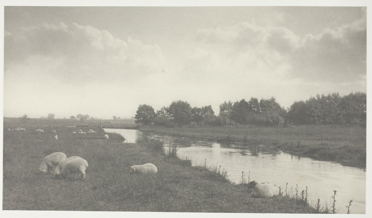 On the River Bure by Peter Henry Emerson
