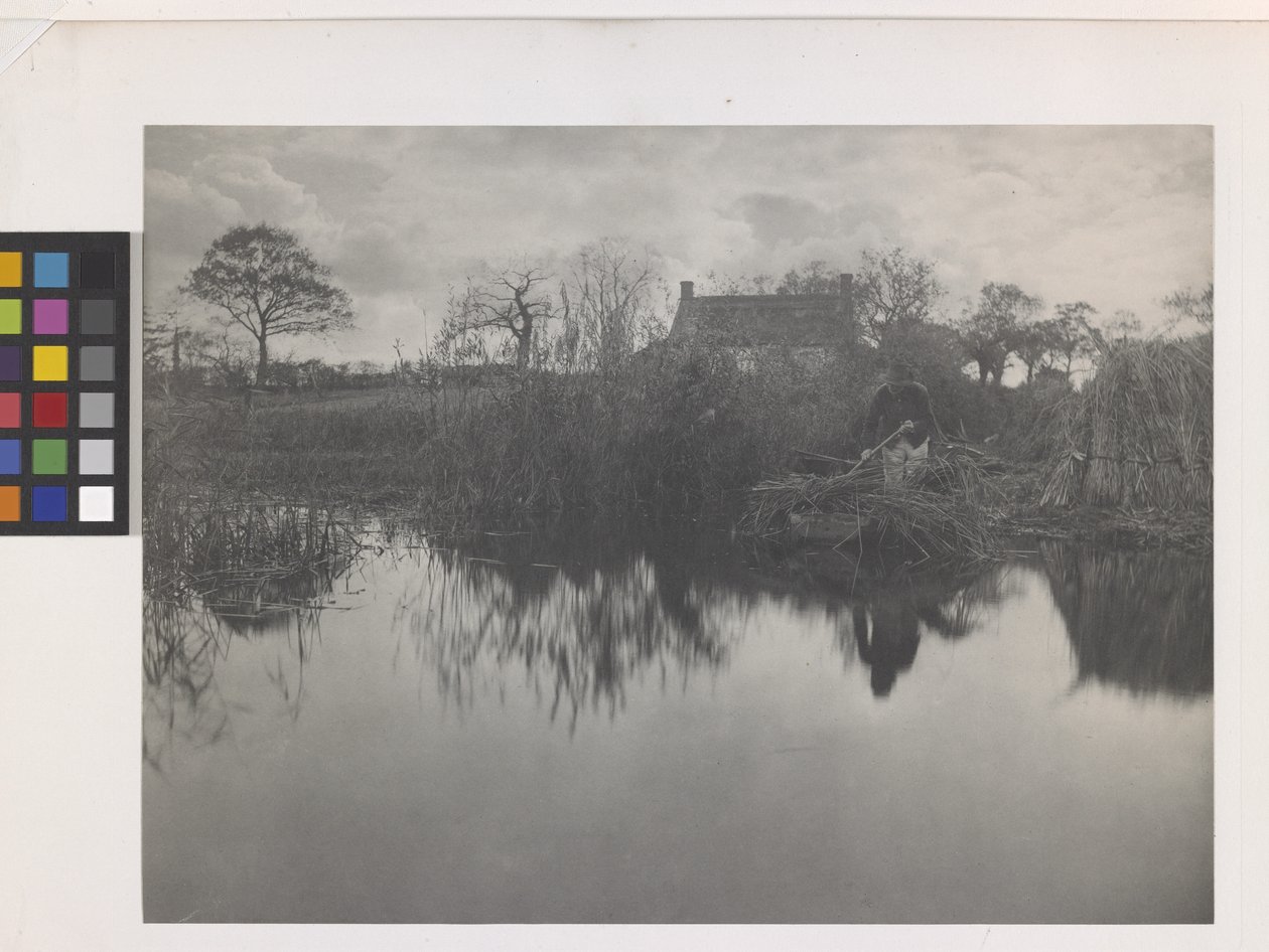 Quanting The Gladdon by Peter Henry Emerson
