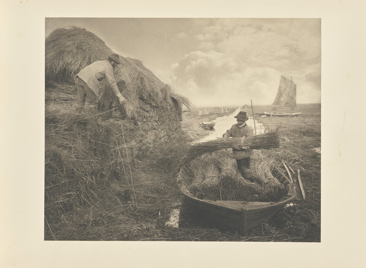 Ricking the Reed by Peter Henry Emerson