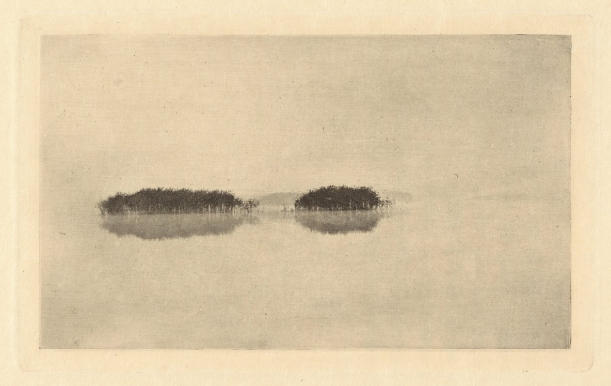 The Lone Lagoon, in or before 1895 by Peter Henry Emerson