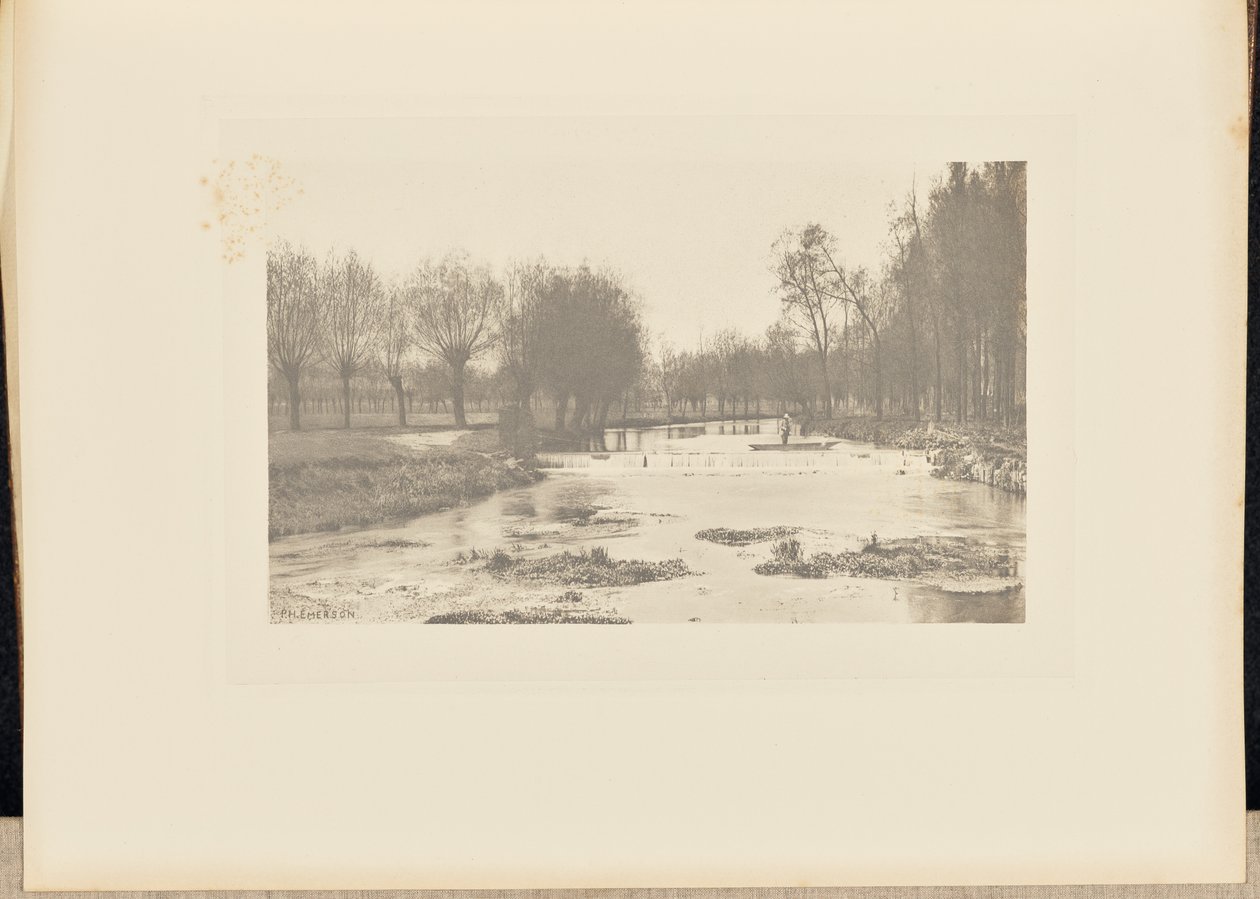 The Shoot, Amwell Magna Fishery by Peter Henry Emerson