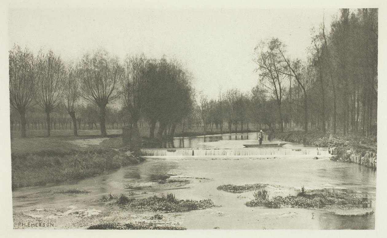 The Shoot, Amwell Magna Fishery by Peter Henry Emerson