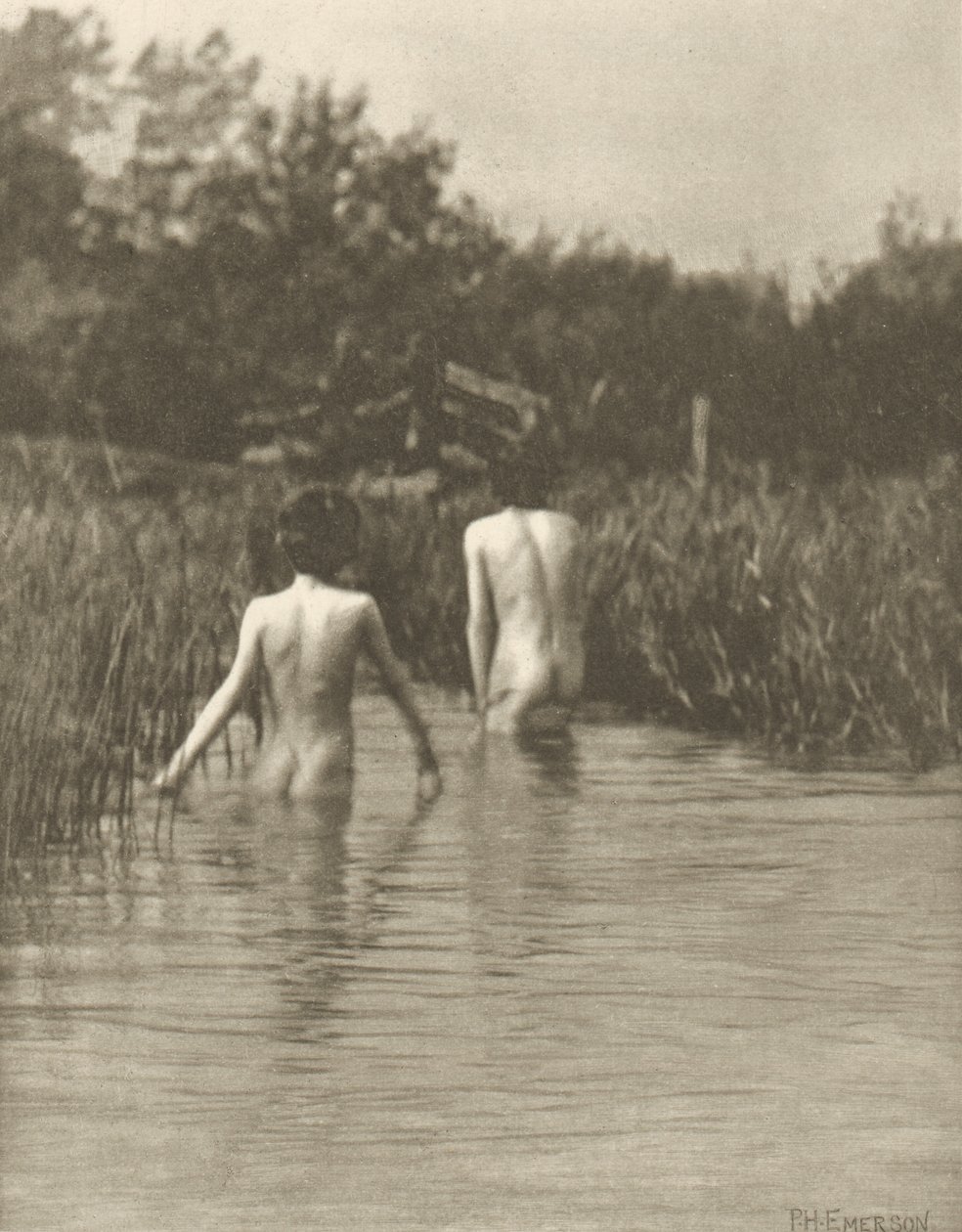 Water-Babies by Peter Henry Emerson