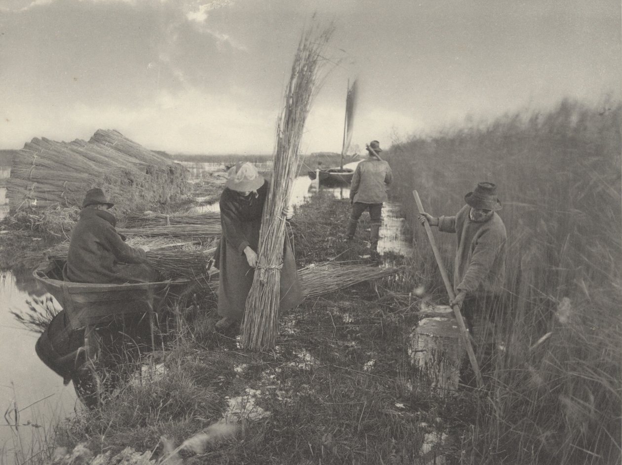 During the Reed-Harvest by Peter Henry Emerson and T.F. Goodall