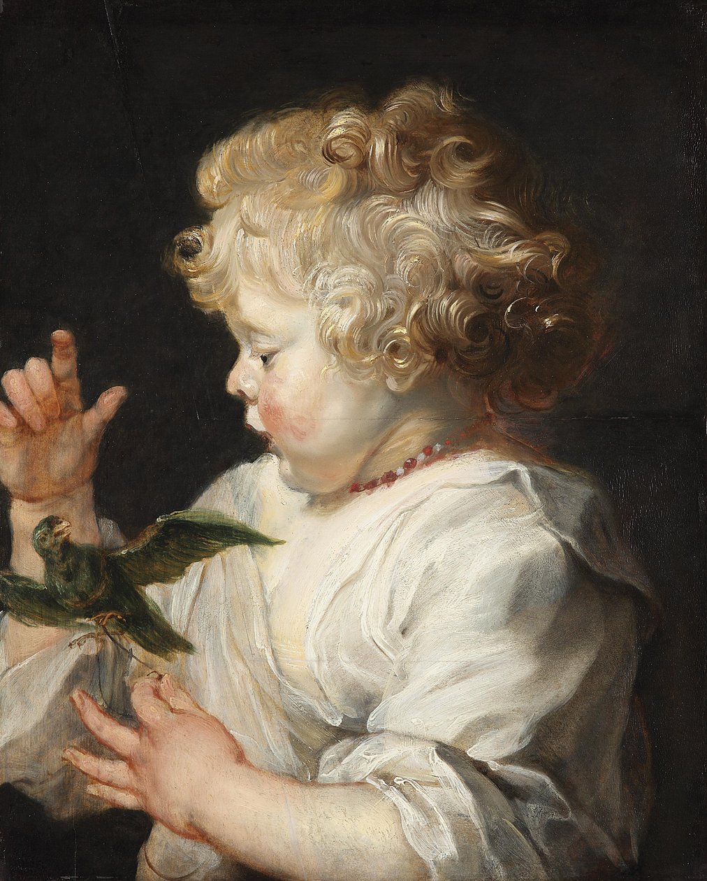 The Child with the Bird by Peter Paul Rubens