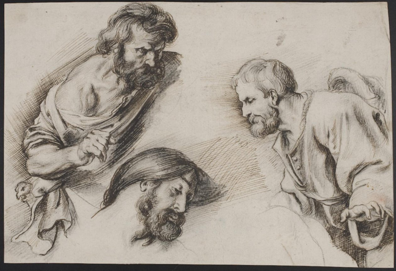 Figure Studies by Peter Paul Rubens