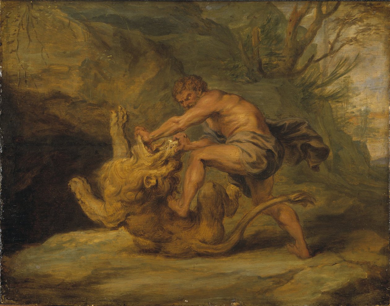 Samson and the Lion. Study by Peter Paul Rubens
