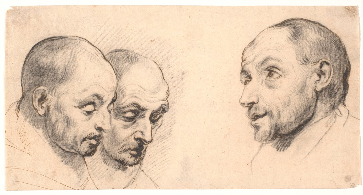 Three Male Heads by Peter Paul Rubens