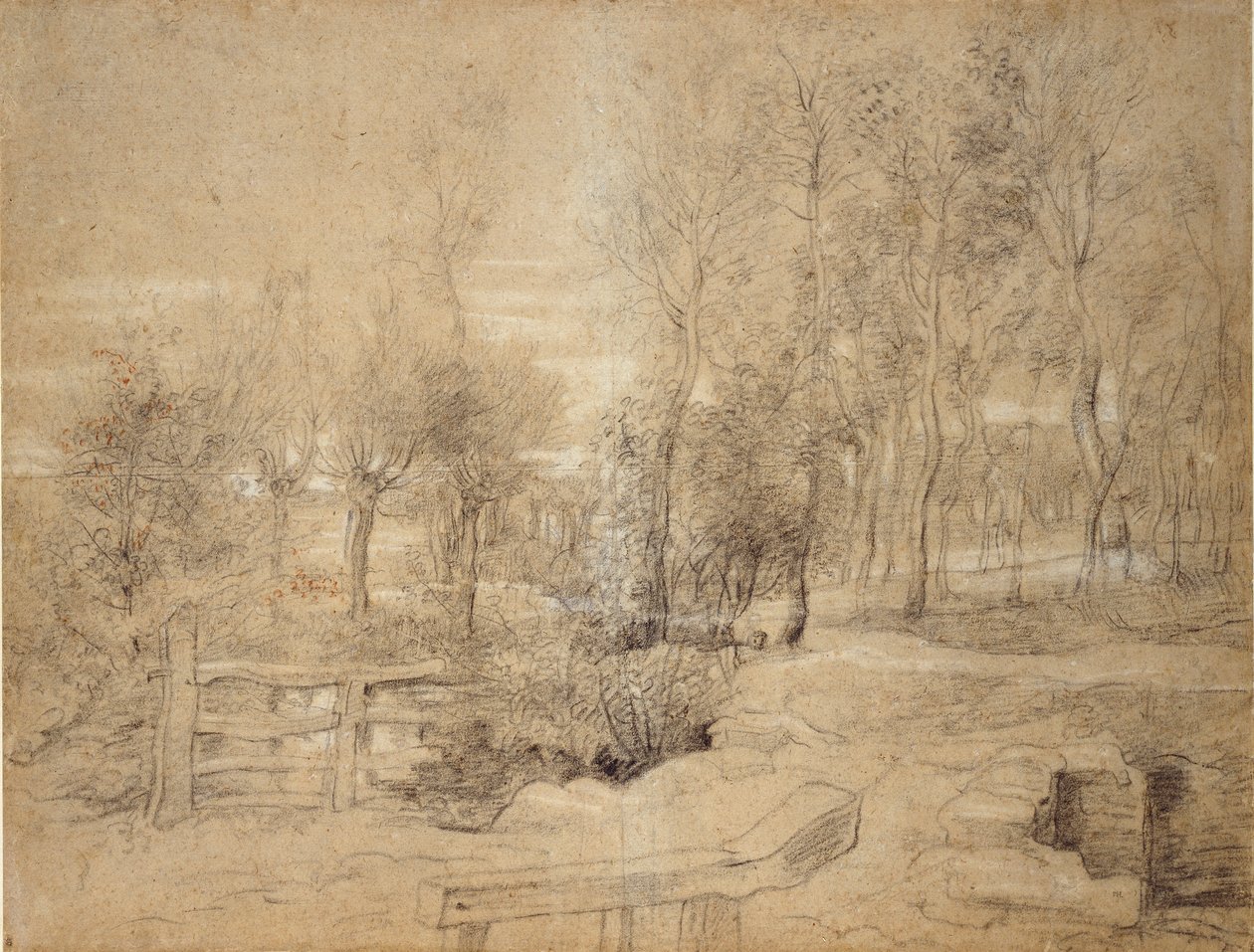 Woodland Scene by Peter Paul Rubens