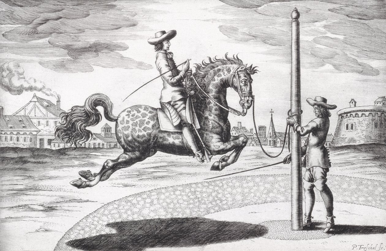 A Horse en Capriole from New Treatise for Breeding Horses, engraved by the artist by Peter Paul Troschel