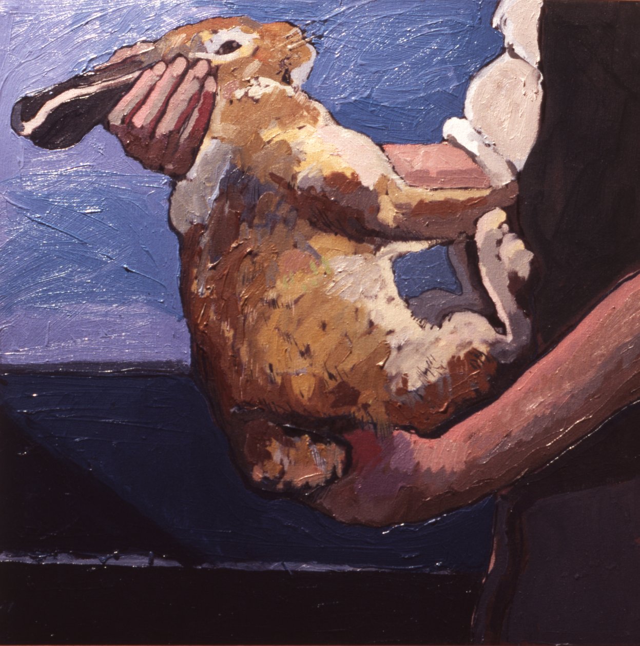 Rabbits Soon Become Tame if Handled Correctly by Peter Wilson