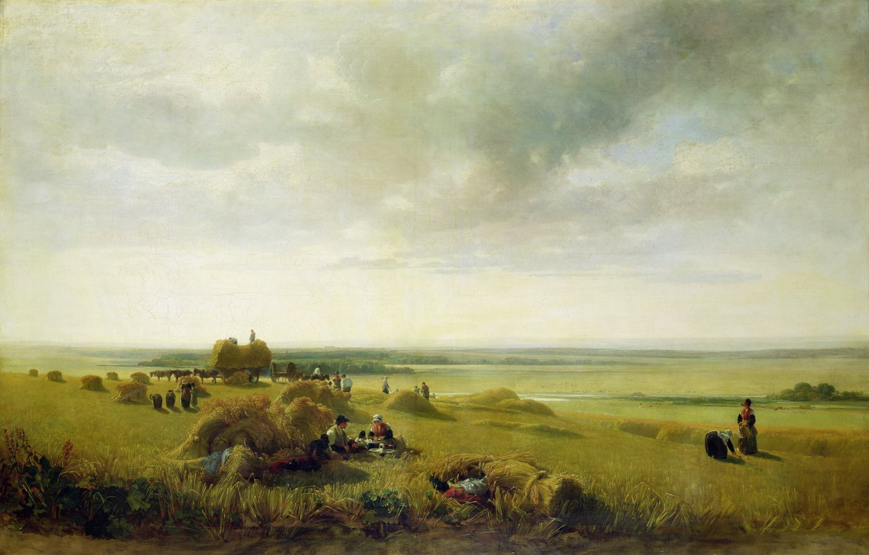 A Corn Field by Peter de Wint