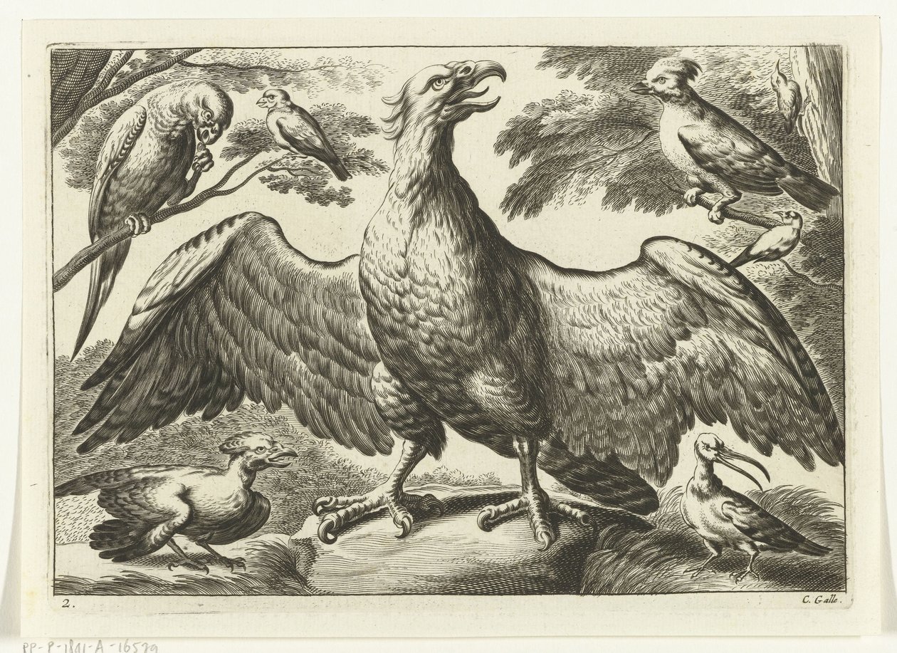 Eagle (Various Birds series) by Peter van Liesebetten