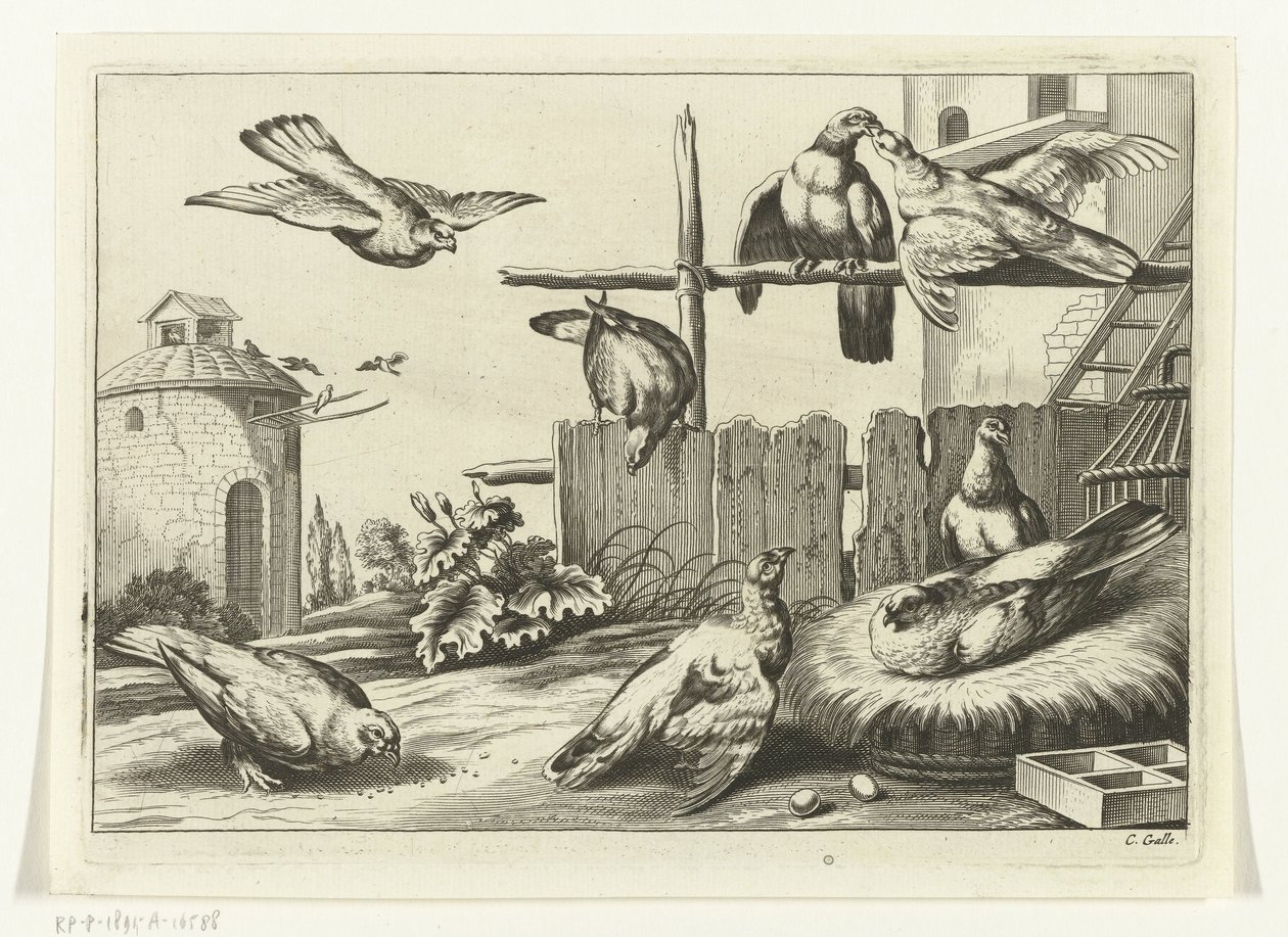 Pigeons at a Dovecote (series title: Diversarum avium species, Various Birds) by Peter van Liesebetten