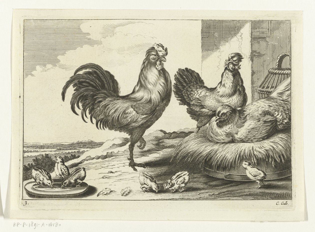Chicken, Roosters, and Chicks by Peter van Liesebetten
