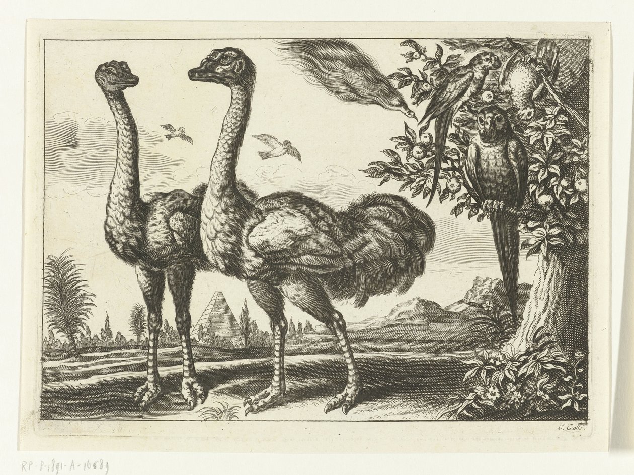 Two ostriches by Peter van Liesebetten