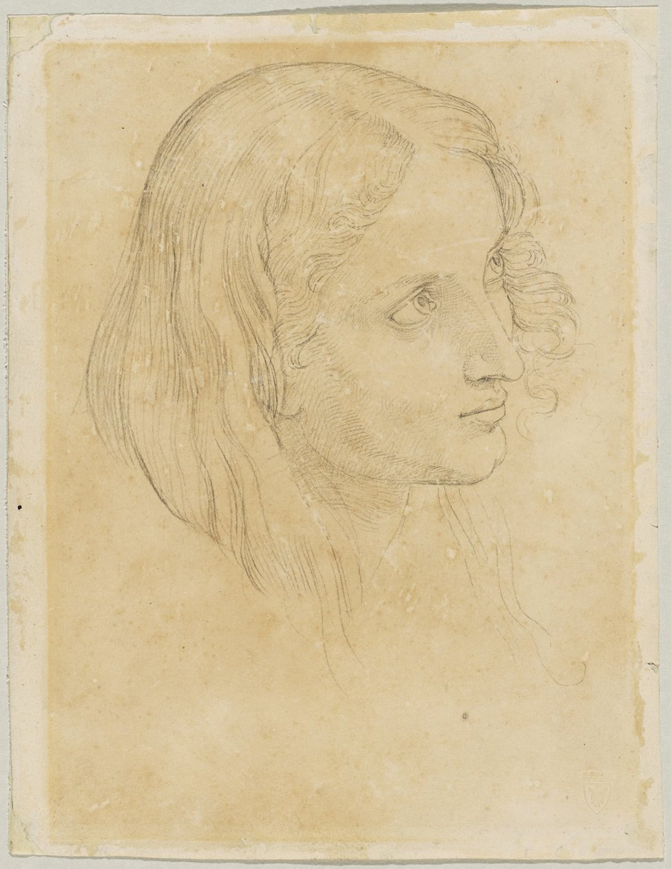 Detail Study of the Scribe in 