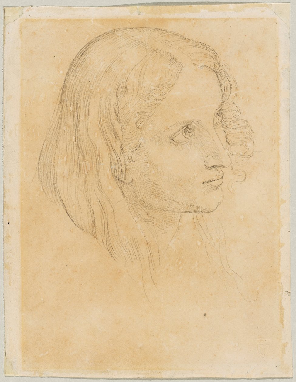 Detail Study of the Scribe in 