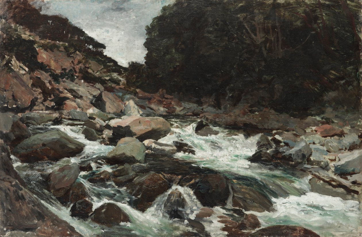 Mountain Stream, Otira Gorge by Petrus van der Velden