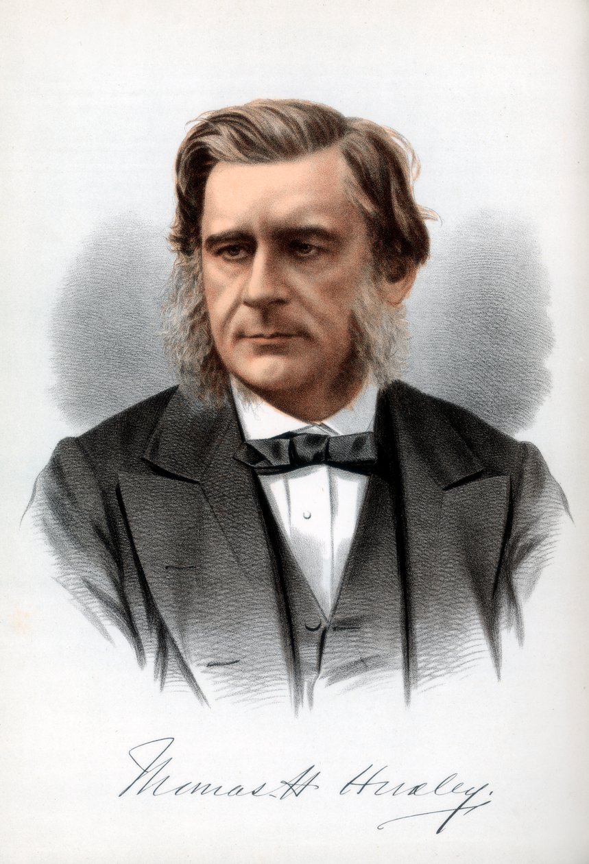 Thomas Henry Huxley, English Biologist by Petter and Galpin Cassell