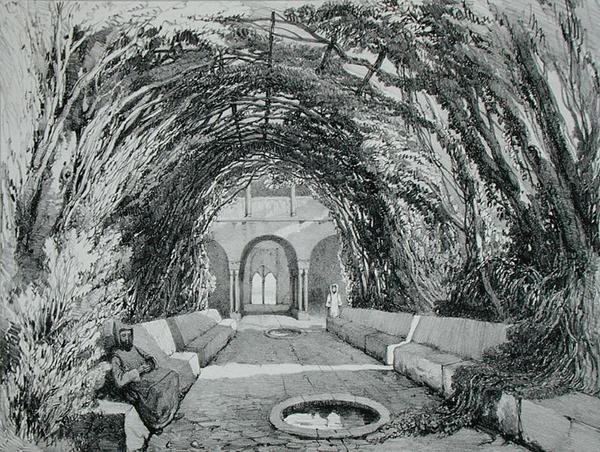 Pools in the Garden of the Convent of San Domingo, Alhambra, Plate 6 from 