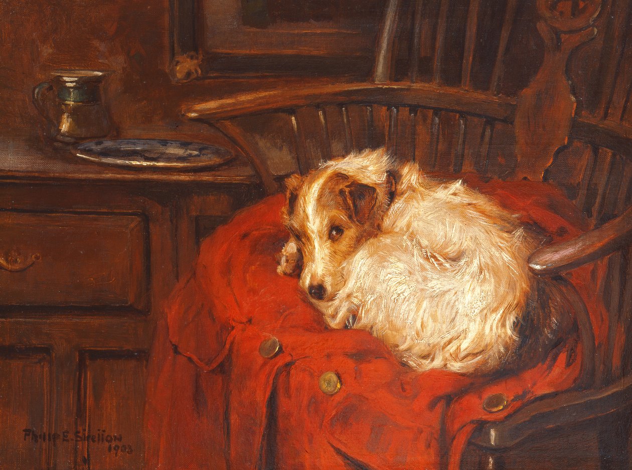 A Favourite Chair, 1903 by Philip Eustace Stretton