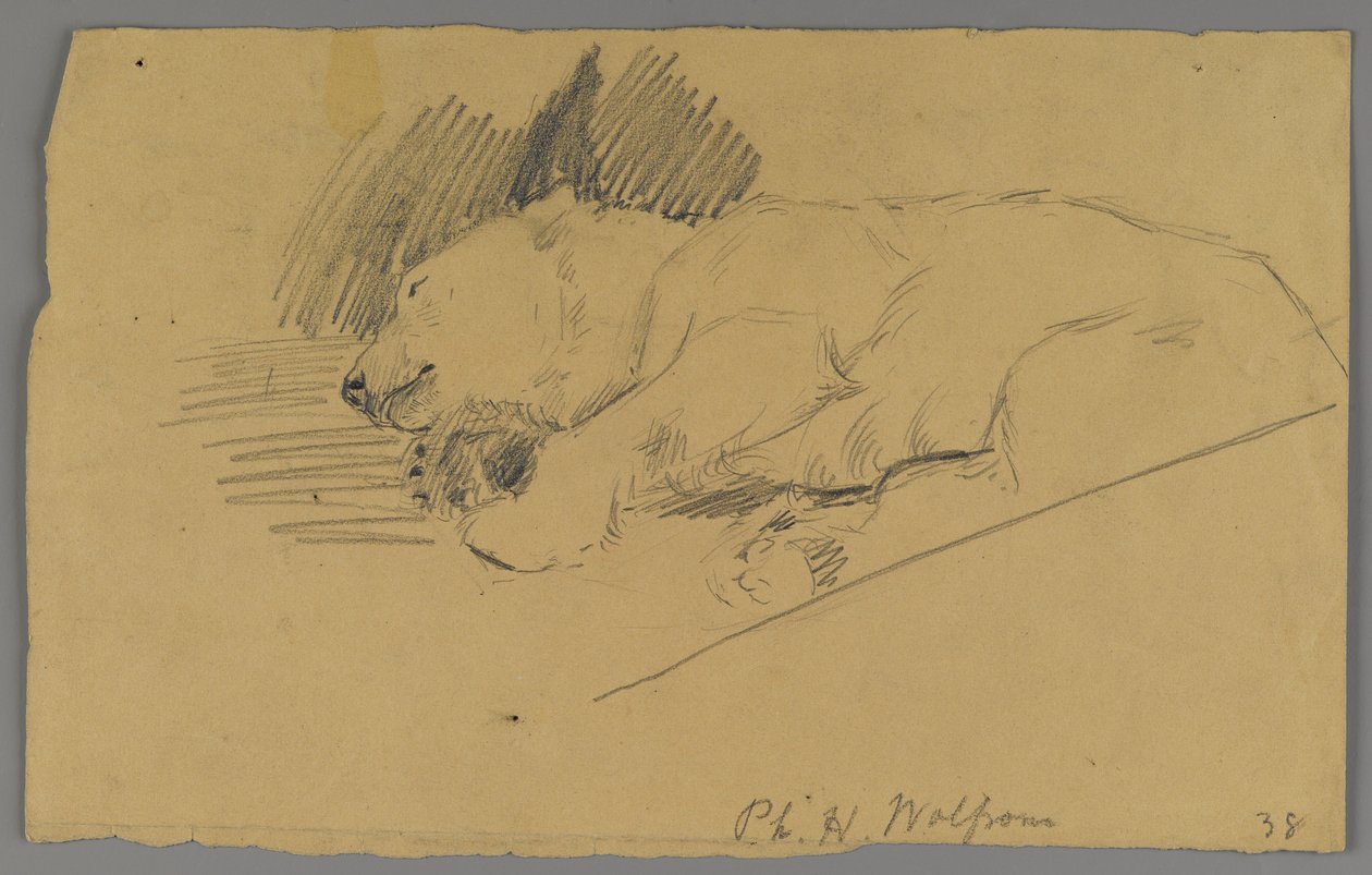 Sleeping Polar Bear by Philip H. Wolfrom