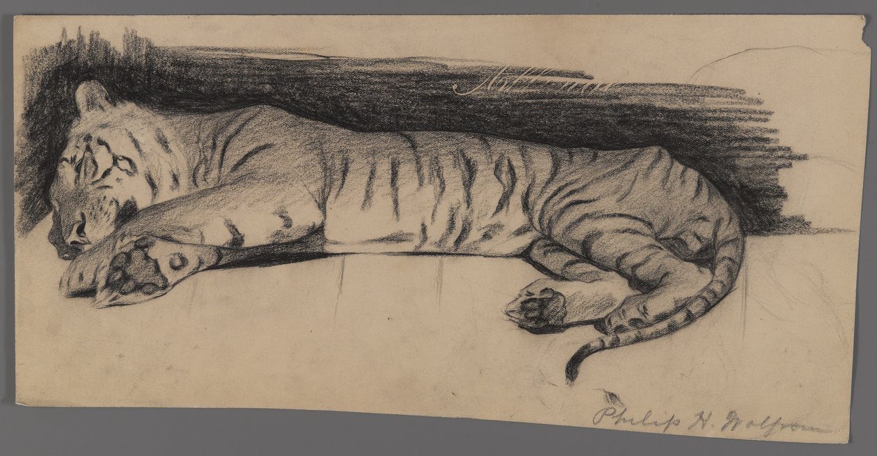 Sleeping Tiger by Philip H. Wolfrom