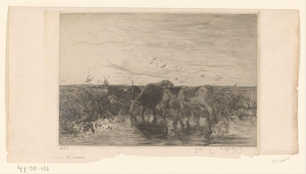 Cows by Water in a Meadow by Philip Zilcken (signed by artist)