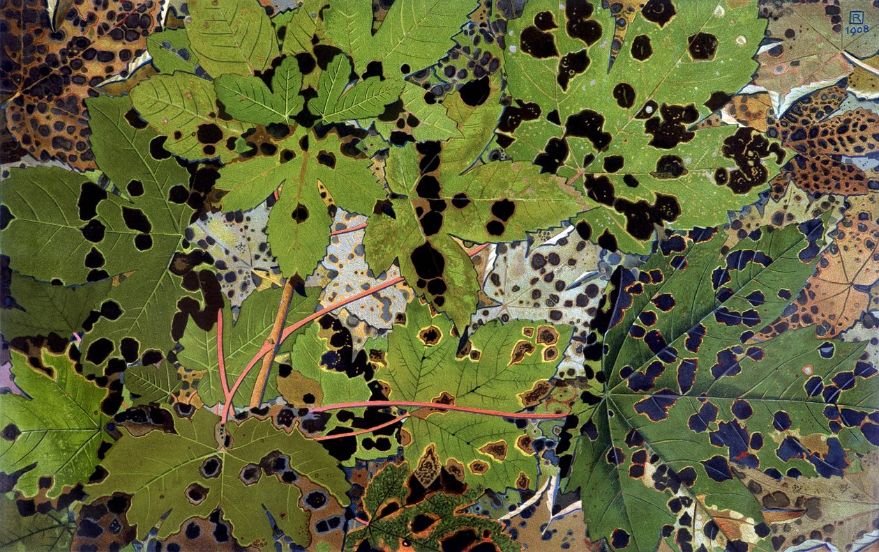 Feuilles d