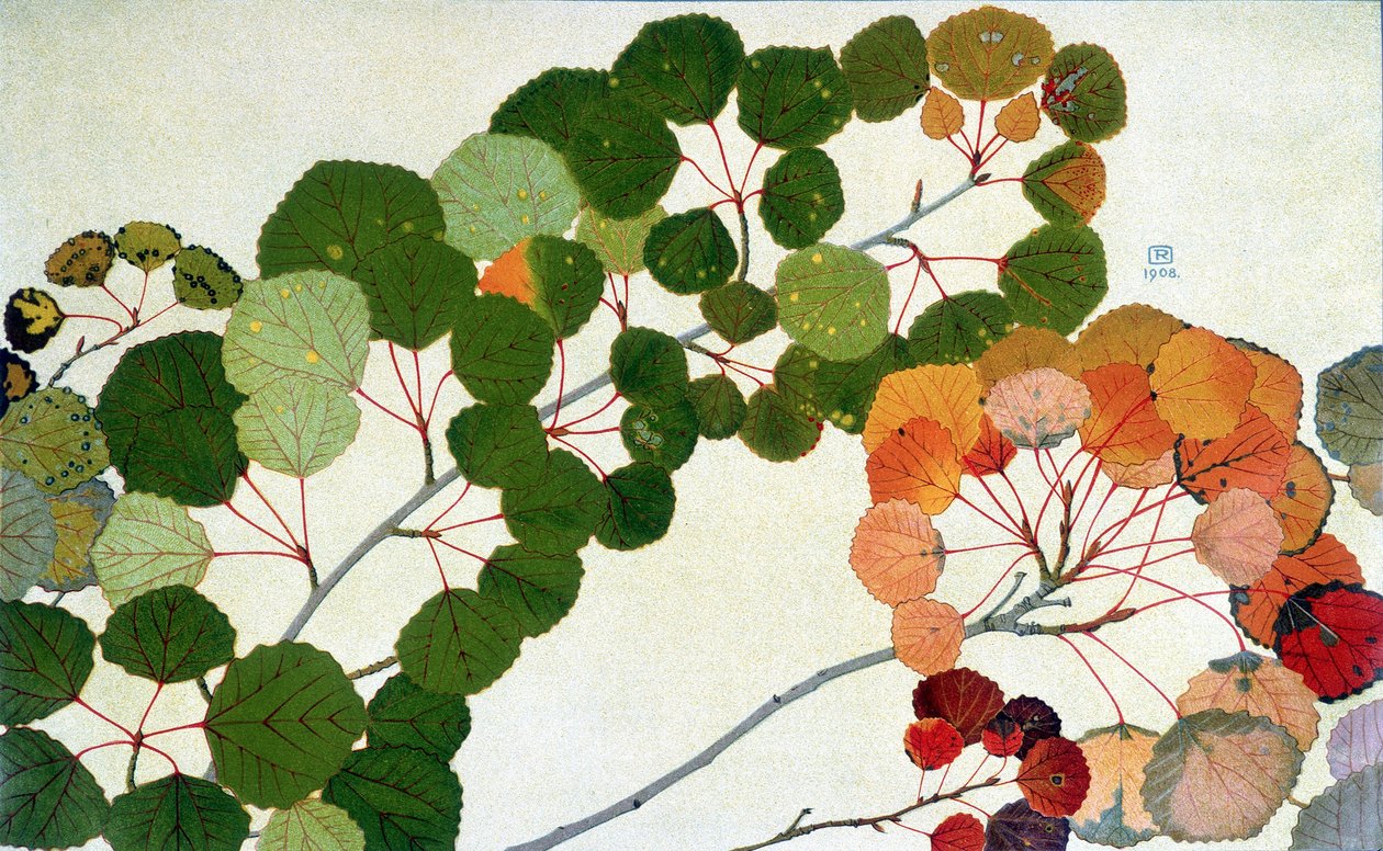 Autumn Leaves, by Philippe Robert, editions Robert Ried by Philippe Robert