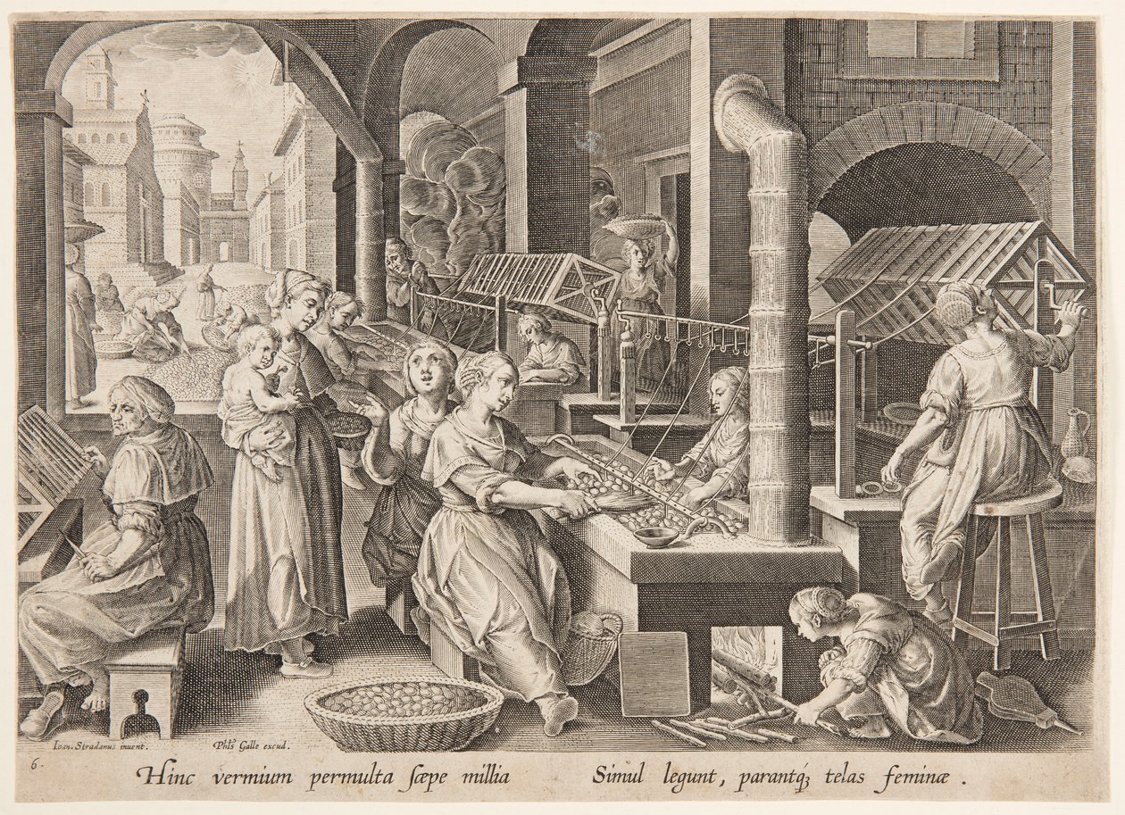 Unwinding the Cocoons by Philips Galle