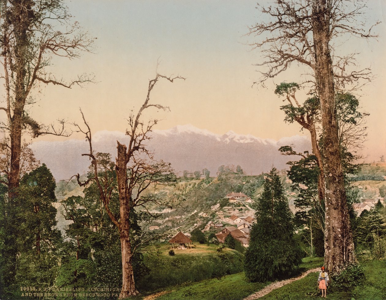 Darjeeling. Kinchinjunga and the Snows from Beechwood Park by Photoglob Co. (Zurich, active c. 1890 1910)