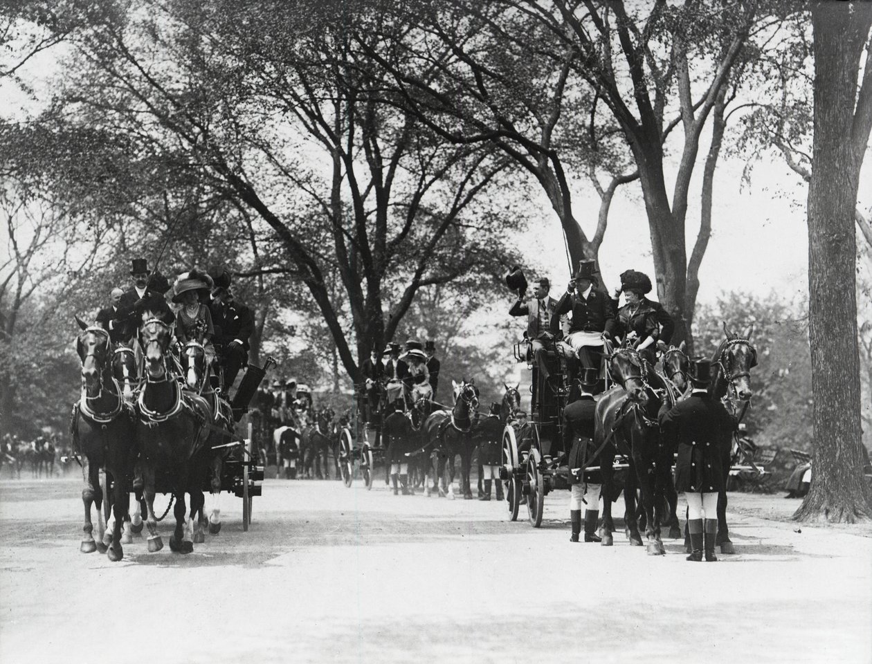 Coaching, Central Park by Photographer American