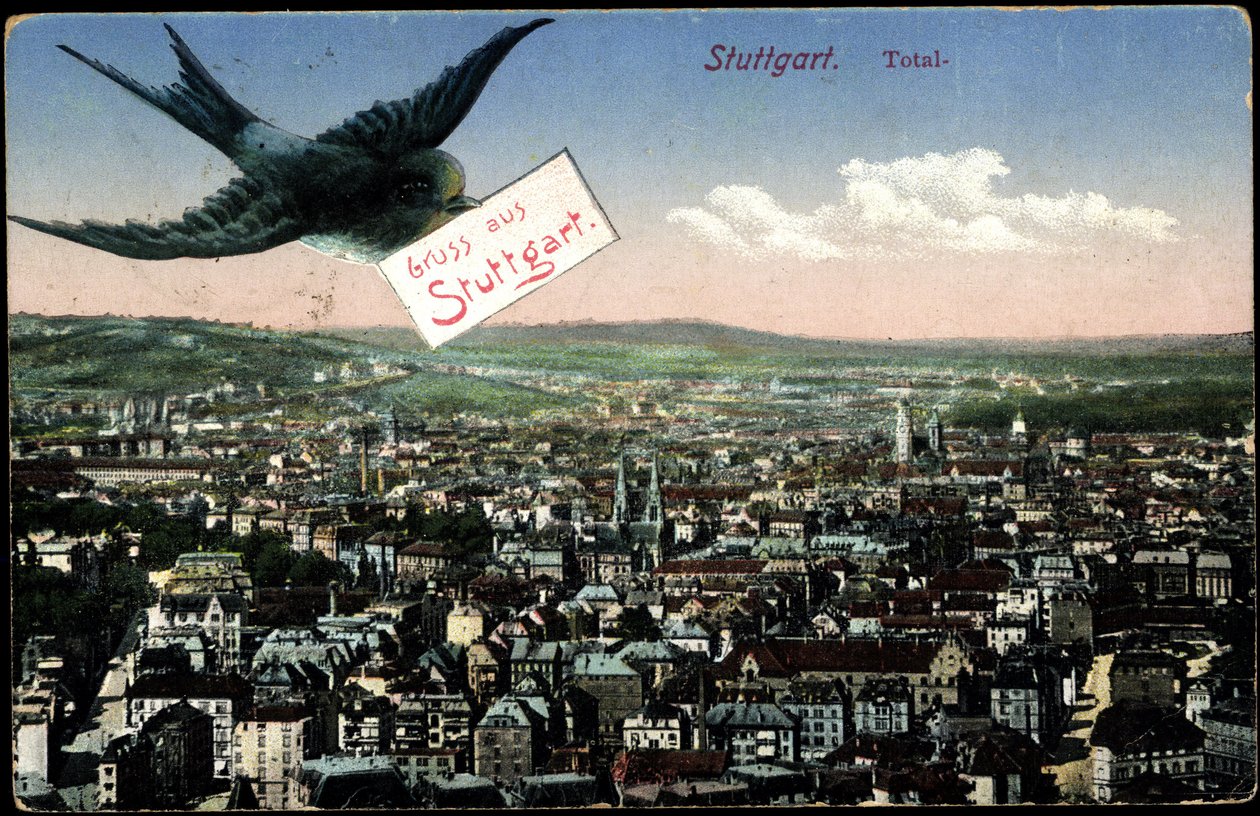 Stuttgart, View of the City with Swallow by Photographer German