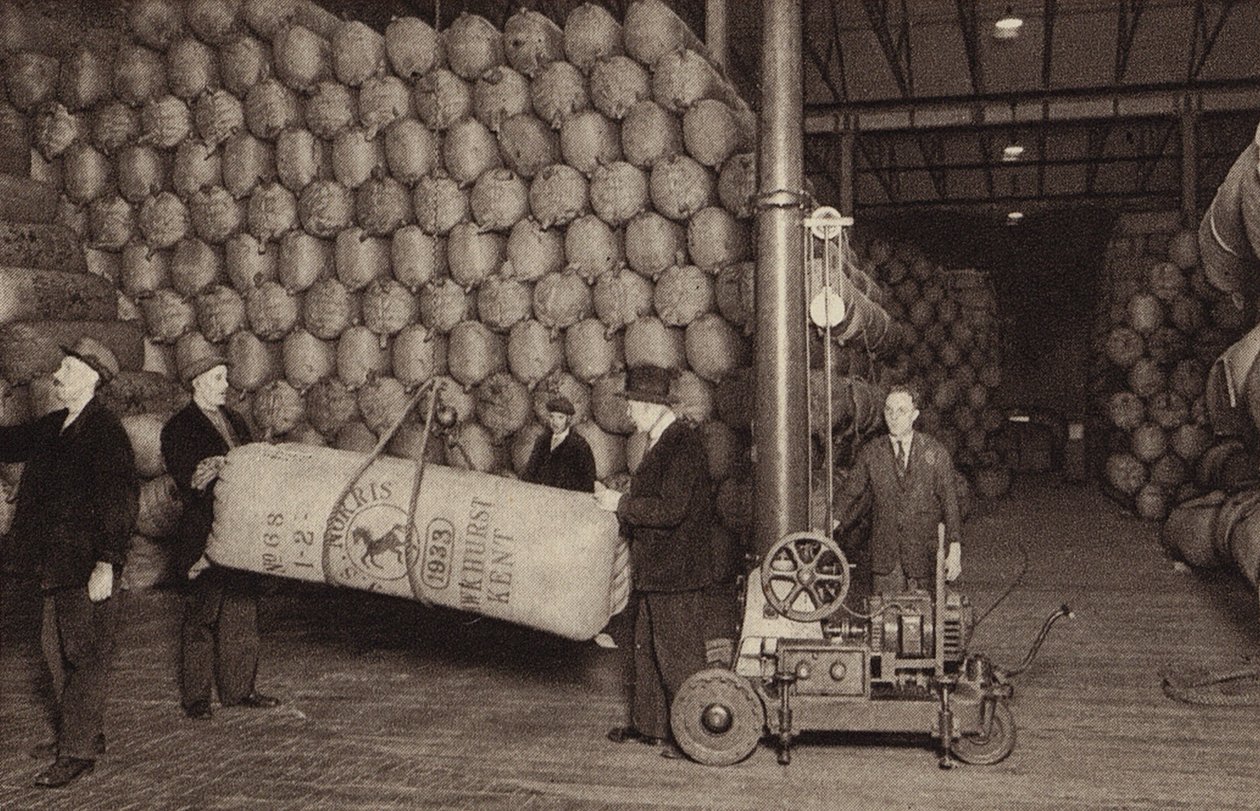Hops in Store, St James