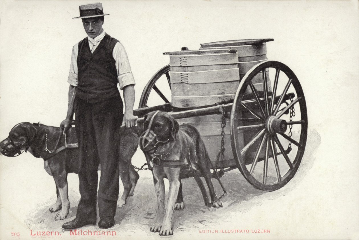 Milkman, Lucerne, Switzerland by Photographer Swiss