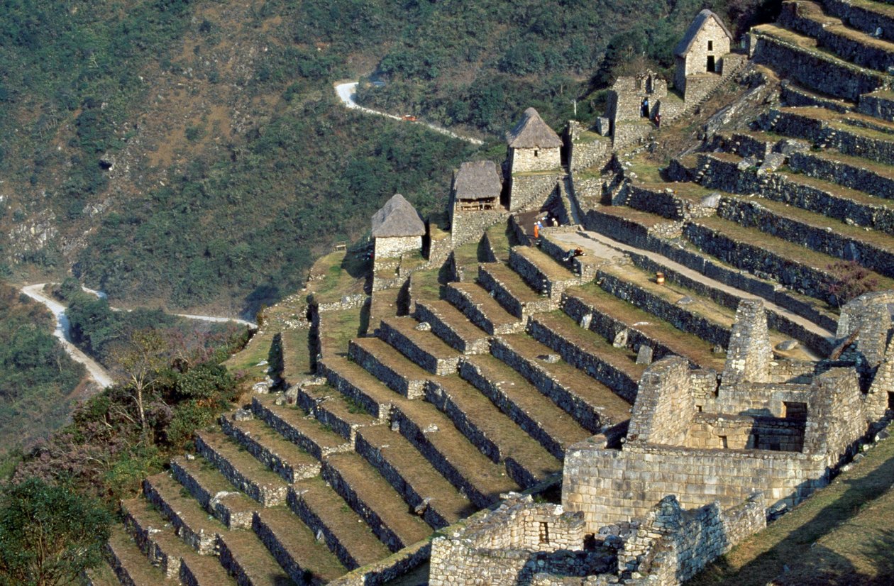Terraces, Machu Picchu (UNESCO World Heritage List) by Blaise Nicolas Le Sueur