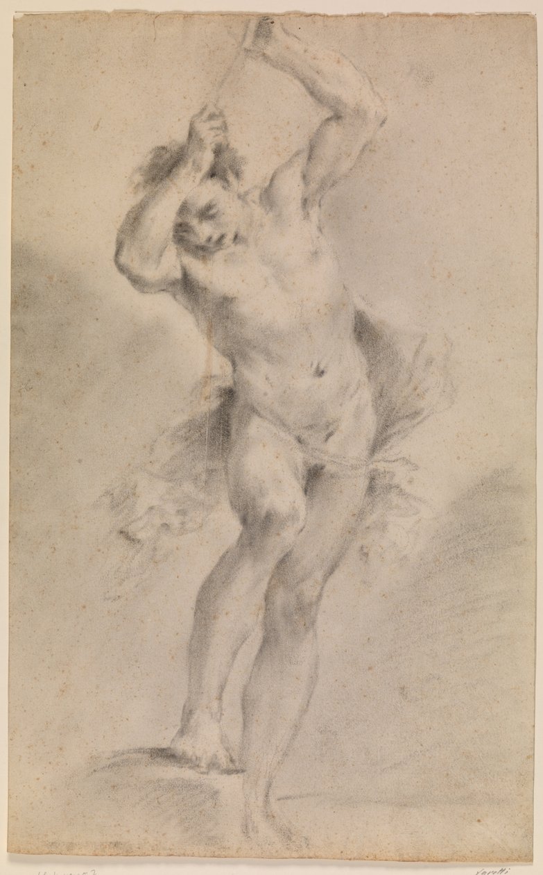 Study after a Nude Young Man with Arms Raised in Front of Head by Pier Paolo Varotti