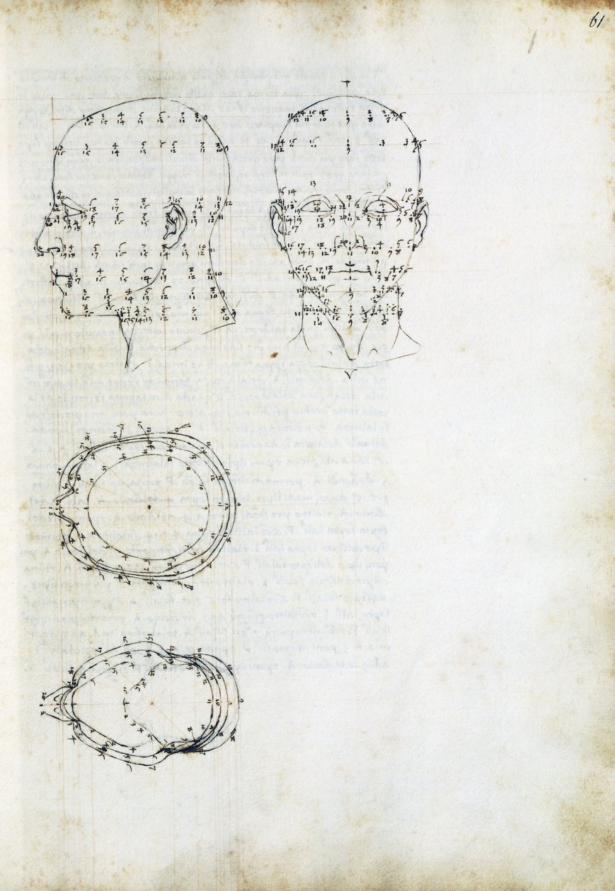 Construction and Geometric Projection of Head, Page from 