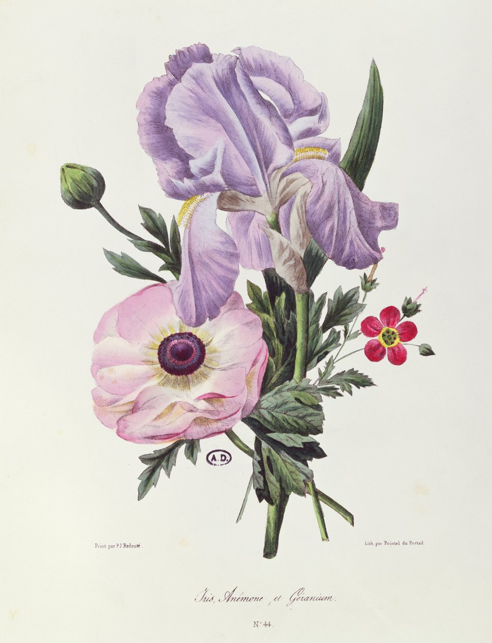 Iris, Anemone and Geranium, engraved by Pointel du Portail by Pierre Joseph Redouté
