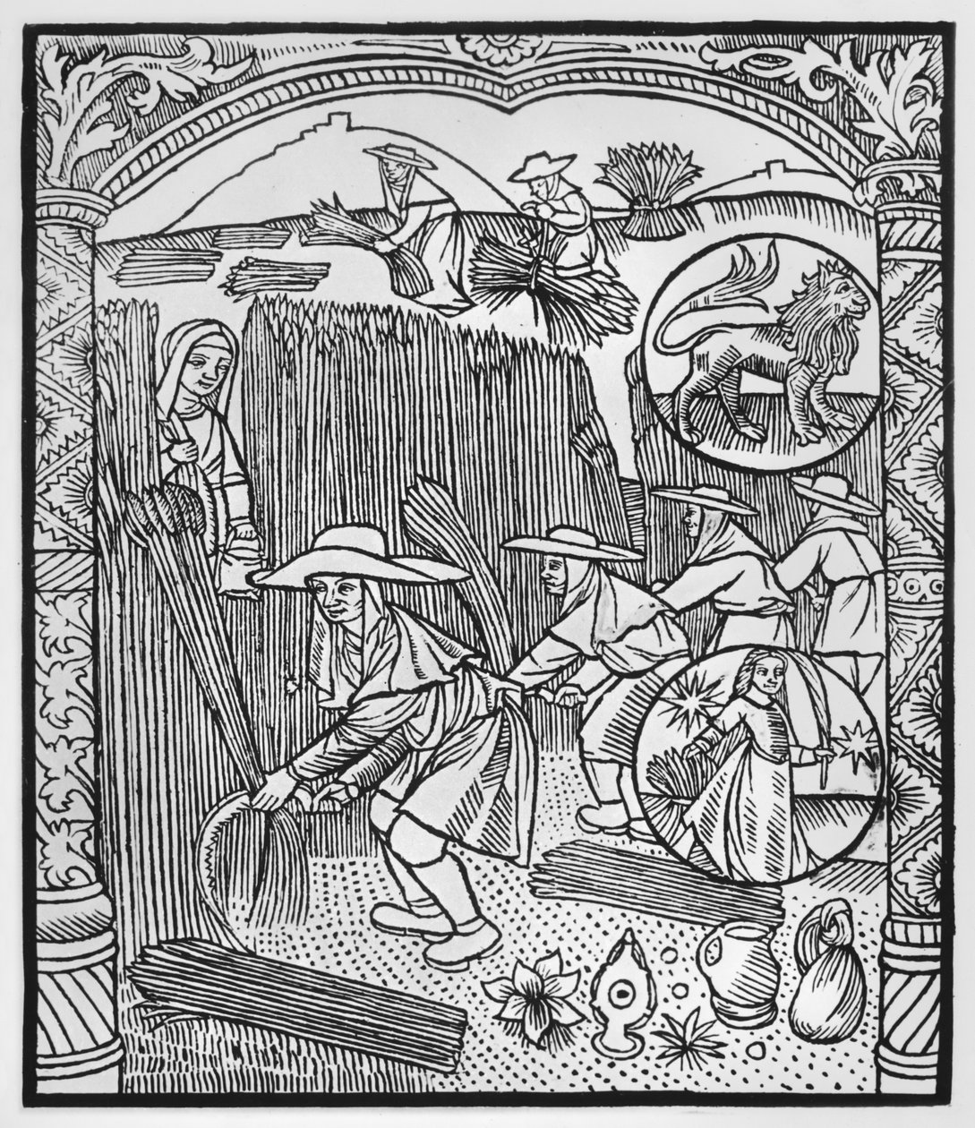 August, harvesting, Leo, illustration from the 