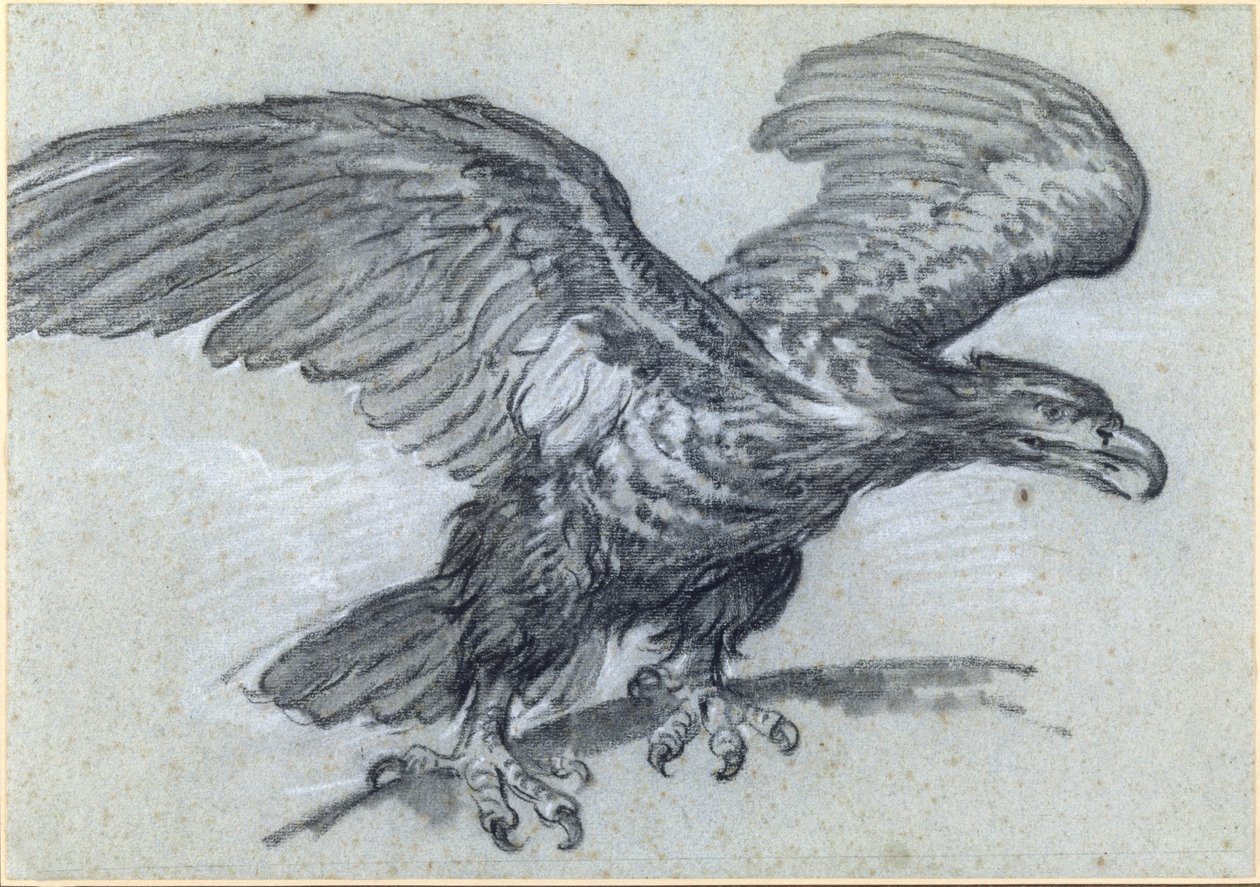 An Eagle, 1811 by Pierre Paul Prudhon