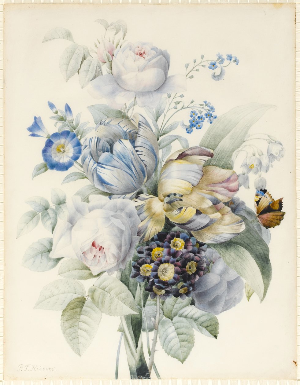 A Bunch of Flowers Including Roses, Parrot Tulips, Forget-me-not, Snowflakes, Auricula and Ipomoea with an Imaginary Butterfly by Pierre Joseph Redouté
