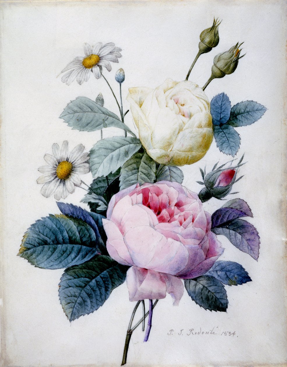 Bouquet of Roses with Daisies by Pierre Joseph Redouté
