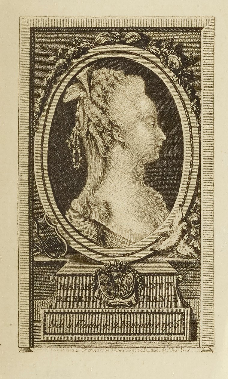Marie Antoinette, Queen by Pierre Adrien Le Beau